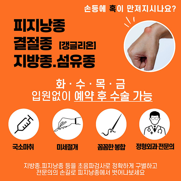 피지낭종